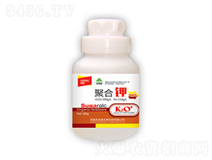 �ۺ��-�|���S