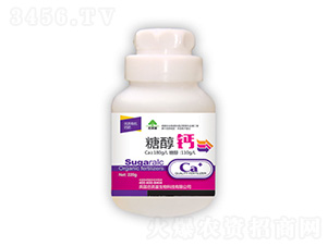 �Ǵ��}-�|���S