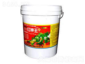 ���ļt���-�|���S