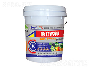 20kg�������-�|���S