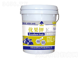 ��(y��u)���K-�|���S