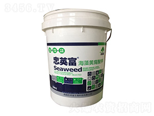 �����S�����-�|���S