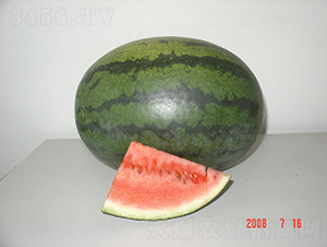 �؃�(y��u)1̖-���ϷN��-�ػͷN�I(y��)