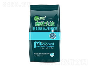 �ͺ�΢���������ޏ̈́�-�������-��������