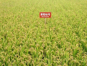 �µ�10̖-ˮ���N��-�ػͷN�I(y��)