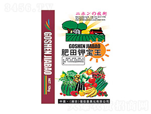 ����⛌���-�|���S