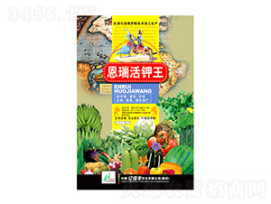 ��������-�|���S