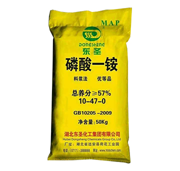 ����һ�@10-47-0-�|ʥ����