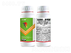 12%�x���桤ʭ����Ҹ���-�W��-�r(n��ng)���Ƅ�(chu��ng)