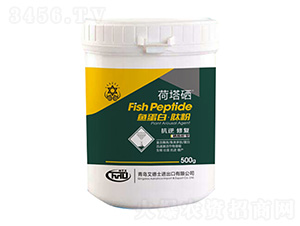 �~���ס��ķ�-����ʿ