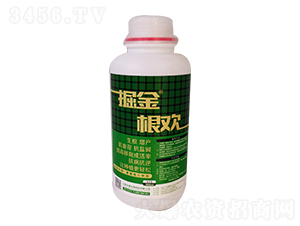 �����g-�̵�����