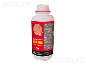 �ΝM�ಡ������-�̵�����