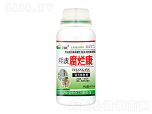 ��Ƥ������-�~����