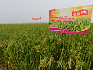 ����906-ˮ���N��-��N�I(y��)