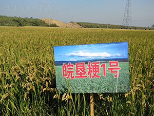 ���1̖-ˮ���N��-��N�I(y��)