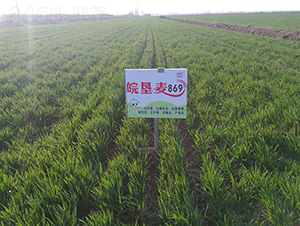 ���869-С���N��-��N�I(y��)