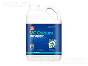 �j(lu��)��VC�Ǵ��}-�~����