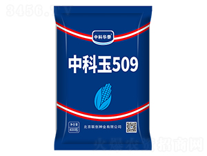 �п���509-���׷N��-(li��n)��(chu��ng)�N�I(y��)