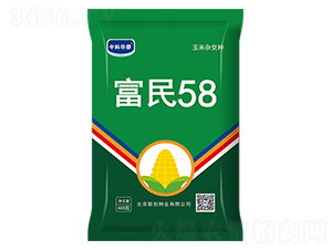 ����58-���׷N��-(li��n)��(chu��ng)�N�I(y��)