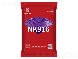 NK916-���׷N��-(li��n)��(chu��ng)�N�I(y��)