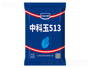 �п���513-���׷N��-(li��n)��(chu��ng)�N�I(y��)