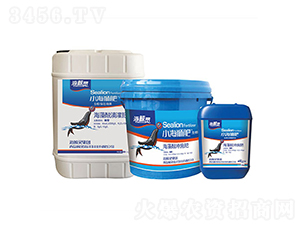 ������ι��-С���{��-���L�`