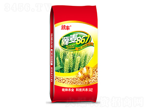 ����867-С���N��-����N�I(y��)