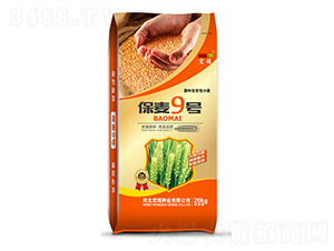 ����9̖(h��o)��20kg��-С���N��-����N�I(y��)