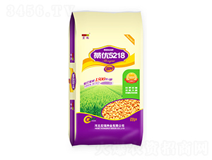 ޻��(y��u)5218-С���N��-����N�I(y��)