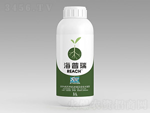 ��Ȼ���澳�������L(zh��ng)�Ƅ�-������-����܎���r(n��ng)�I(y��)