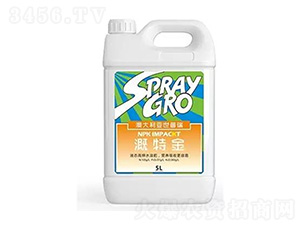 ���ؽ�-����܎���r�I(y��)