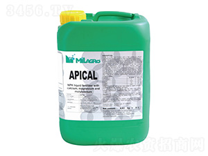 �{Ƥ�}-����܎���r�I(y��)