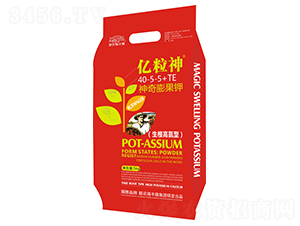 ��������40-5-5+TE-�|����-���S��