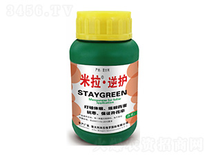 ���������o-����܎���r�I(y��)