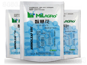 �ǻۻ��������~-����܎���r�I(y��)