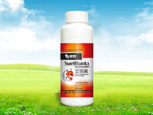 �|̦��-����