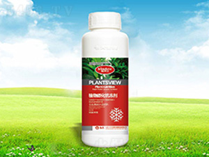 ֲ��Ż�������-����