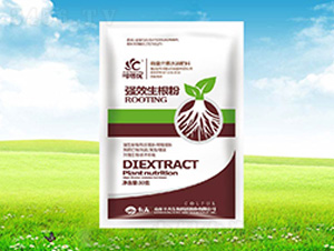 ��Ч������-������(y��u)-����