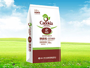 ⛶��}-������(y��u)-����