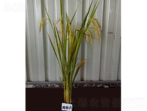 �S̩ռ-ˮ���N��-�t��N�I(y��)