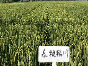 ����Ŵ109-ˮ���N��-�t��N�I(y��)