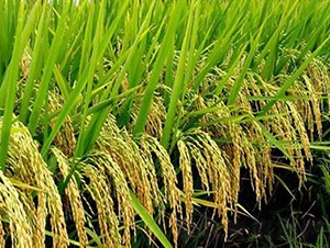 ̶ԭ��(y��u)0845-ˮ���N��-�t��N�I(y��)