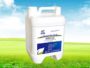 �{(l��n)��ʿ�Ǵ��}�V-����