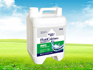 �{(l��n)��ʿ�Ǵ��}-����