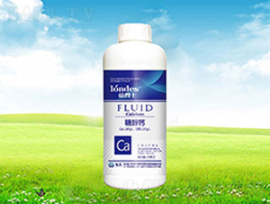 1300���{(l��n)��ʿ�Ǵ��}-����