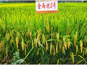 ���Ƀ�(y��u)2̖-ˮ���N��-������