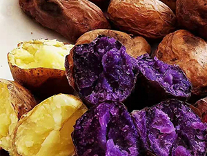 ������-�����N��-���S�N�I(y��)