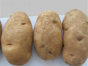 �������-�����N��-���S�N�I(y��)