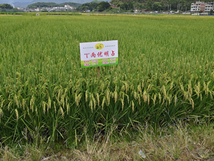 T�Ƀ�(y��u)��ռ-ˮ���N��-�����N�I(y��)