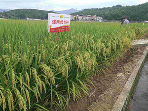 ��Ƀ�(y��u)164-ˮ���N��-�����N�I(y��)